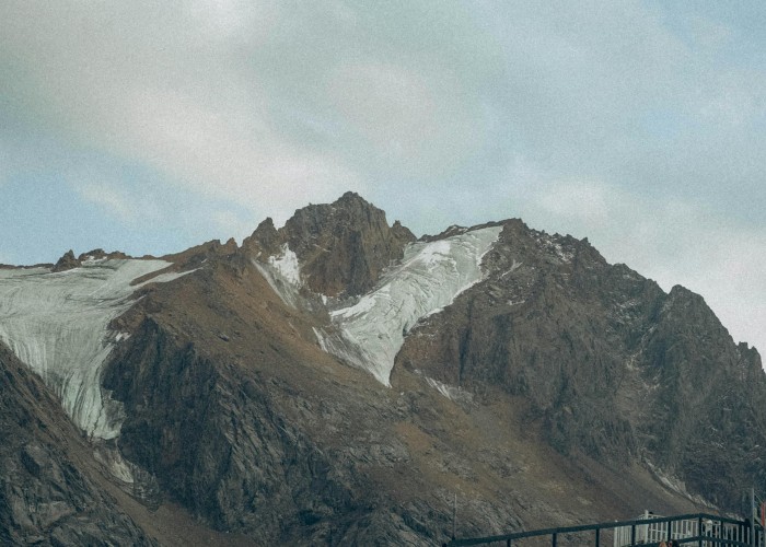 1763033552-pexels-margarita-k-105195494-34220343 (1).jpg